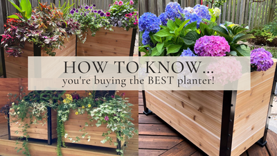 ¡Cómo saber que la jardinera que compras es la MEJOR! 