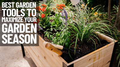 Las mejores herramientas de jardín para maximizar su temporada de jardín