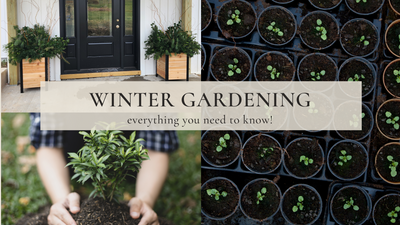 Jardinería de invierno: ¡todo lo que necesitas saber! 