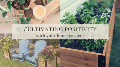 Cultivando la positividad en el jardín de su casa 