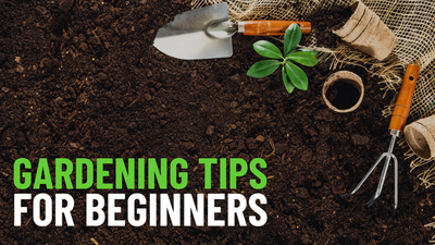 10 consejos de jardinería para principiantes absolutos