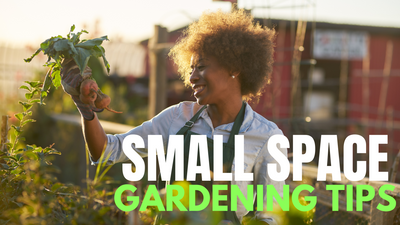 Small Space Gardening Tips!