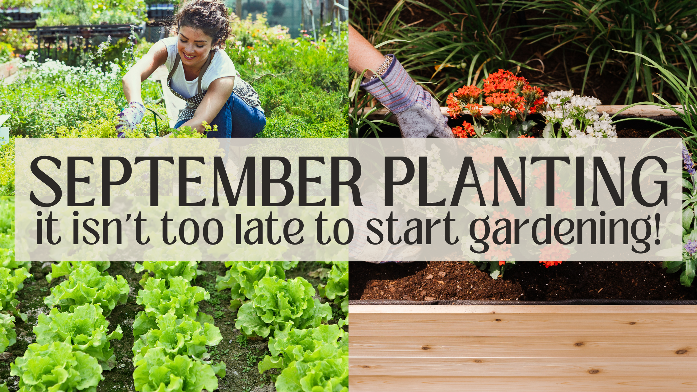 September planting: it isn't too late to start gardening! – Cedar ...