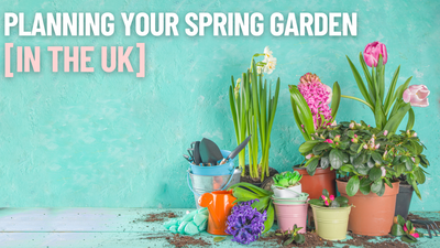 Planificación de su jardín para la primavera en el Reino Unido