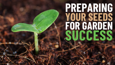 Preparing Your Seeds For Success In The UK
