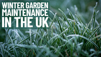 Lista de verificación de mantenimiento de jardines en invierno en el Reino Unido