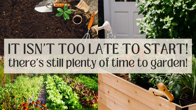 ¡Aún no es demasiado tarde para empezar a trabajar en el jardín!
