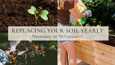 Reemplazar su suelo cada año: ¿Necesario o NO necesario?