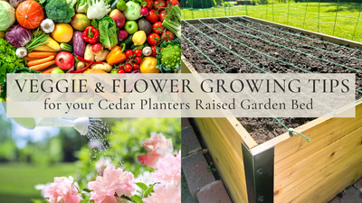 Cómo plantar verduras y flores en su jardín elevado