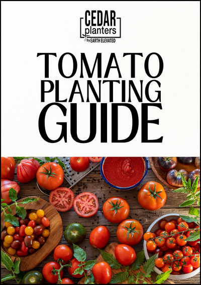 Guía de cultivo de tomates en formato electrónico (Inglés)