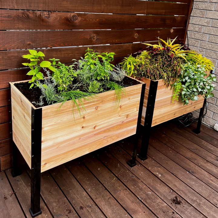 Offers Cedar Planter